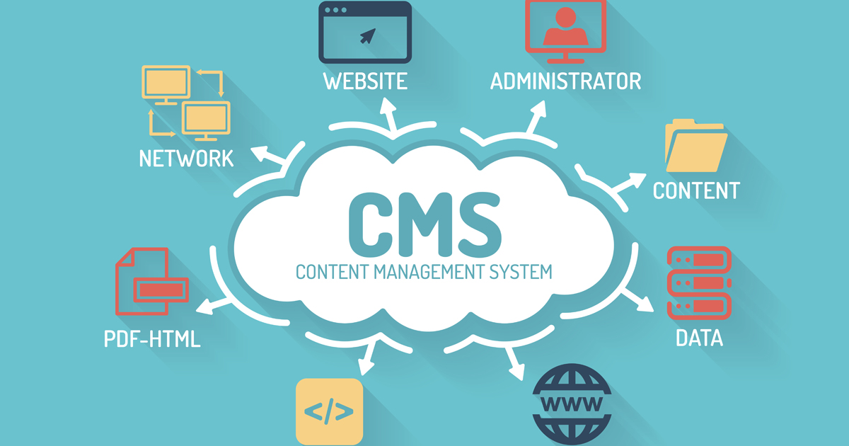 Обзор популярных CMS в 2024 году: выбираем лучшую платформу для вашего сайта